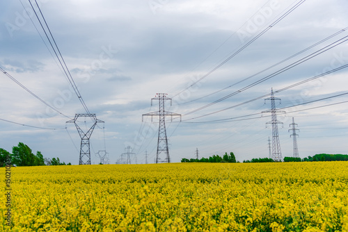 Rape field and Electric pylons