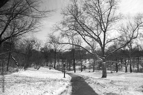 Road and snow at Central Park in black and white style