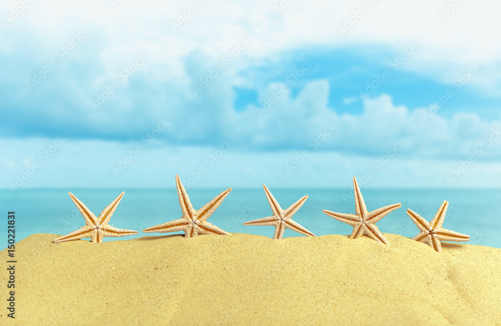 Starfish seashells on the Beach Starfish seashells on the Beach