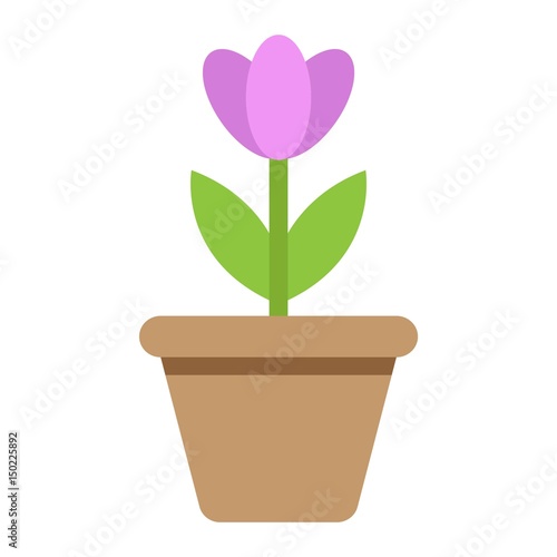 Flower in pot flat icon  plant and decor