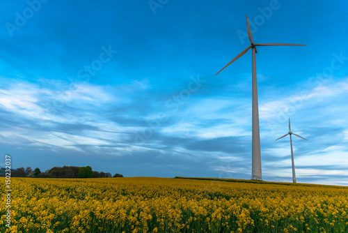 Windmill in a rape field © somra