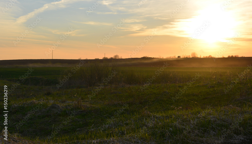 Beautiful spring landscape: the sun sets over the field, wildlife