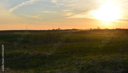 Beautiful spring landscape: the sun sets over the field, wildlife