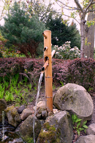 Watering can in the Japanese garden