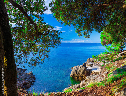 Wonderful romantic summer afternoon landscape panorama coastline sea. Green trees at the edge of the coast harbor at crystal clear azure water.