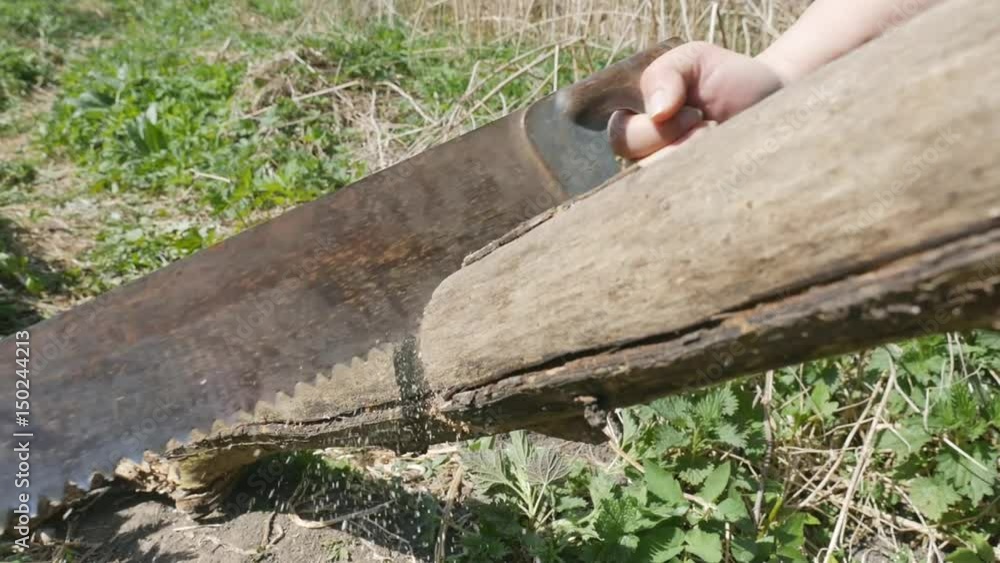 Cut wood hand saw, sawdust flying in different directions.