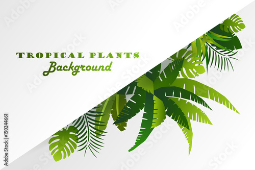 Tropical plants. Invitation, card, banner, decoration