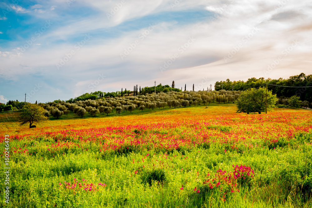 Paysage du Val d'Orcia en Toscane au soleil couchant Paysage du Val d'Orcia en Toscane au soleil couchant