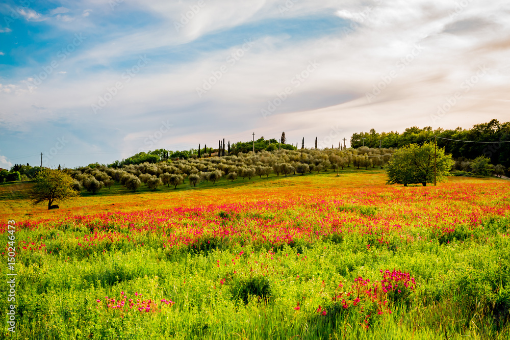 Paysage du Val d'Orcia en Toscane au soleil couchant