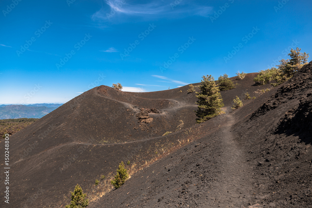 Monti Sartorius -   the eruptive cones of 1865 in the volcano etna