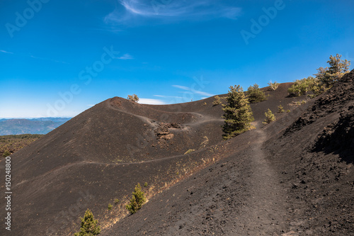 Billede på lærred Monti Sartorius -   the eruptive cones of 1865 in the volcano etna
