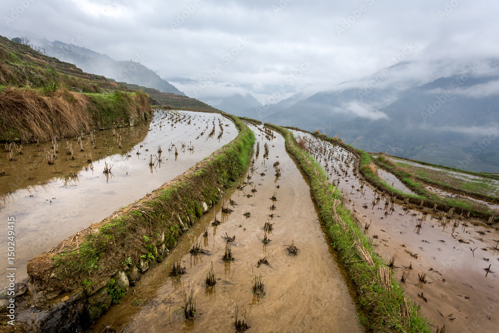 les rizières en terrasse dans la montagne chinoise