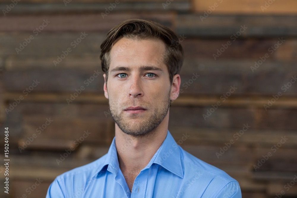 Portrait of male business executive Portrait of male business executive