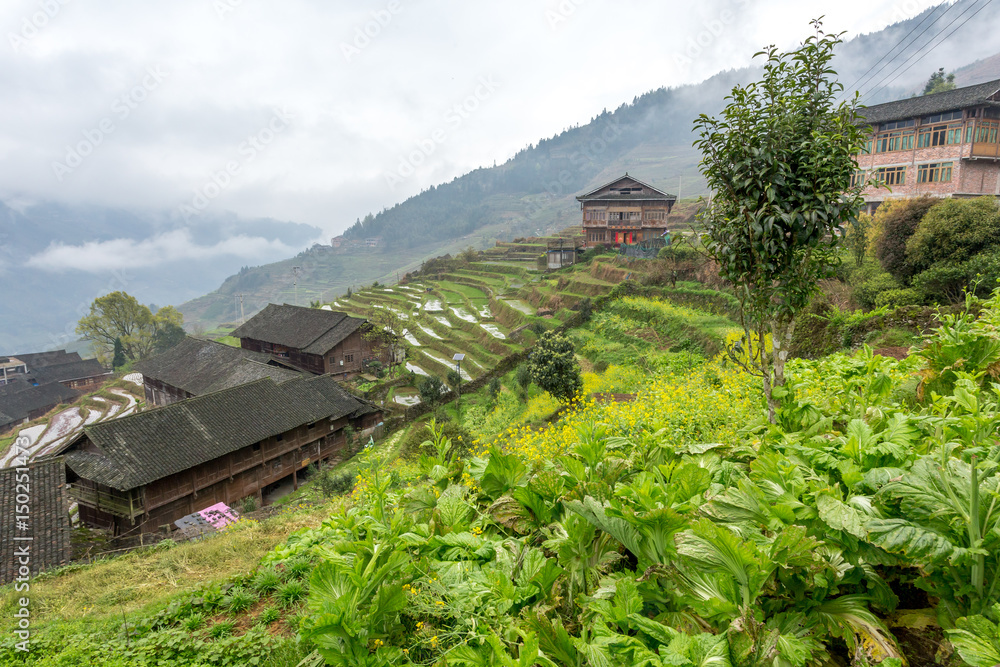 les plantations en terrasse d'un village chinois en montagne
