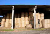 deposit bale of dry hay in the farm shed