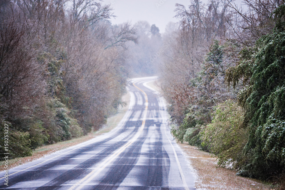 Fototapeta premium winter season in york south carolina