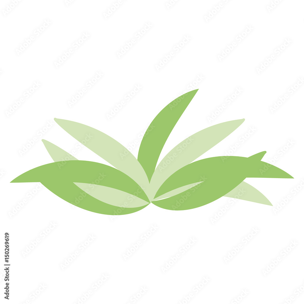 Naklejka premium Isolated group of leaves