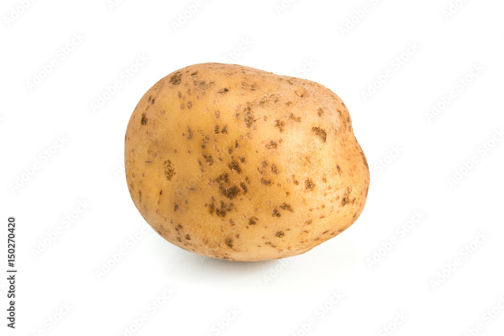 Potato isolated on white background Potato isolated on white background