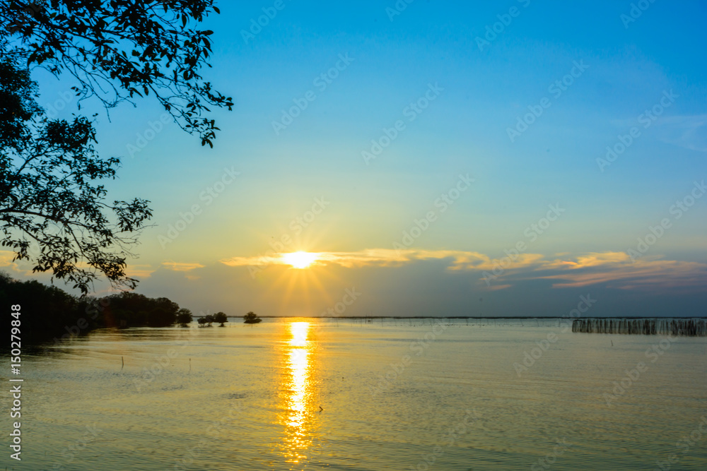 beach and mangrove forest with sunset background