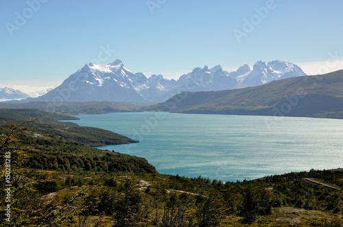 Torres del Paine national park  Lago El Toro  patagonia  Chile.