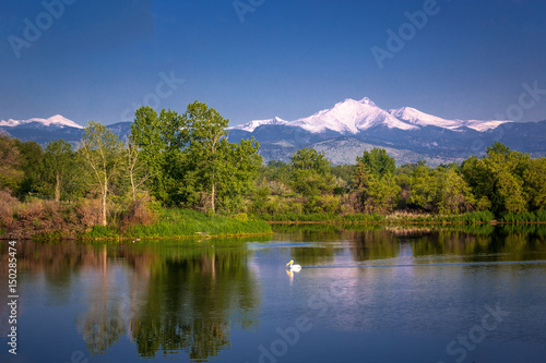 Pelican on lake with snow capped peak in background