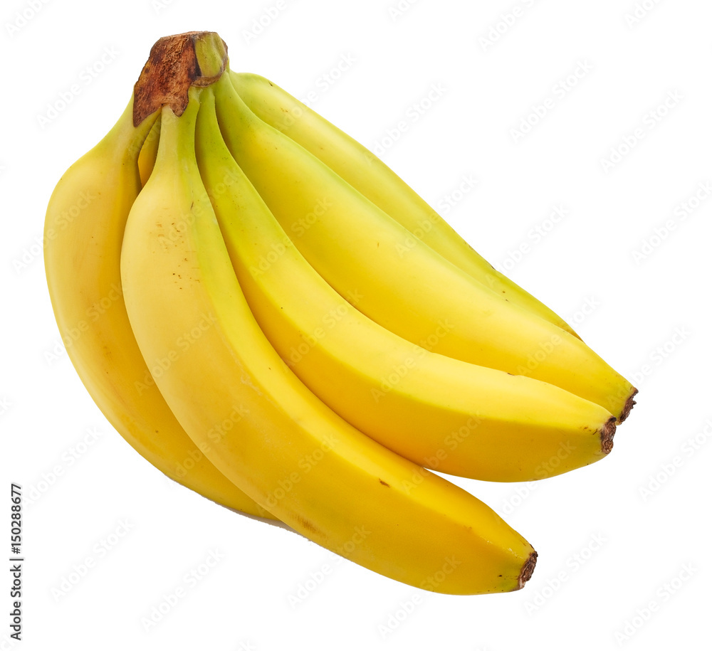Bunch of bananas. Isolated. Bunch of bananas. Isolated.