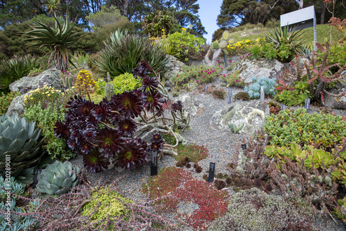 View of Wellington Botanic Garden.