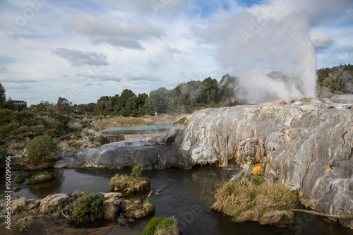 View of Te Puia geyser in Rotorua  New Zealand.