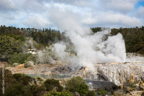 View of Te Puia geyser in Rotorua, New Zealand.