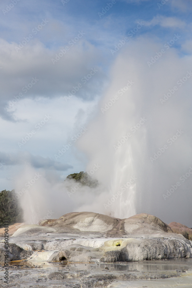 Fototapeta premium View of Te Puia geyser in Rotorua, New Zealand.