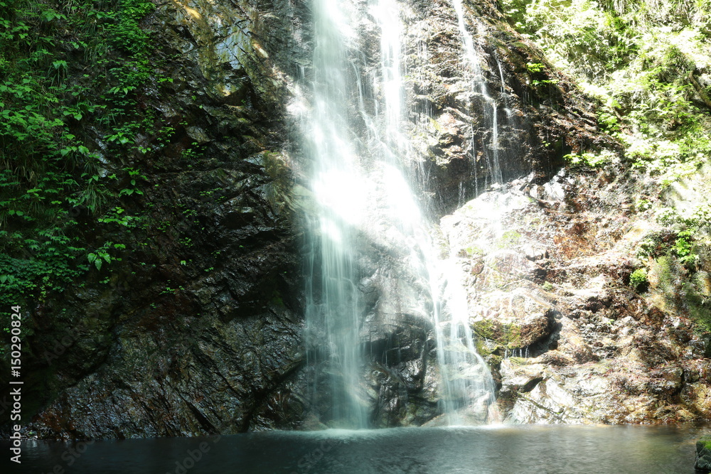 払沢の滝 東京都檜原村 払沢の滝 東京都檜原村