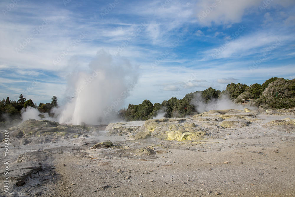 View of Te Puia geyser in Rotorua, New Zealand. View of Te Puia geyser in Rotorua, New Zealand.