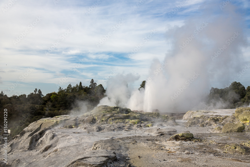 View of Te Puia geyser in Rotorua, New Zealand. View of Te Puia geyser in Rotorua, New Zealand.