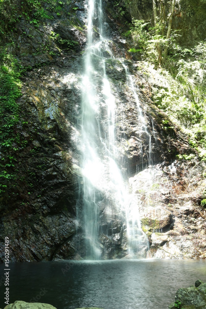 Obraz premium 払沢の滝 東京都檜原村