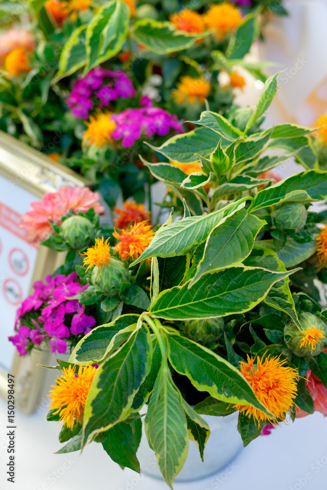 Wedding Flower Decorations