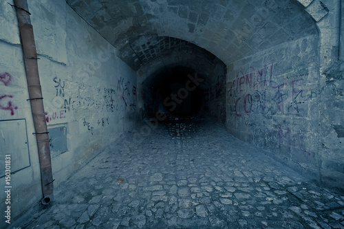 abandoned dark creepy and claustrophobic tunnel, with write on brick wall photo