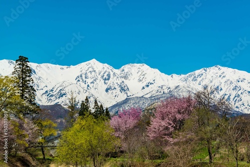 Scenery facing the mountains of Hakuba photo