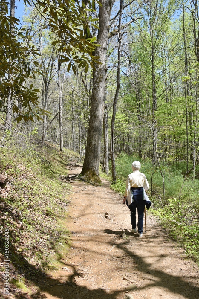 Fototapeta premium Walking in the Woods