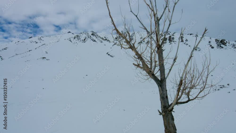 Skiing POV - Point of view of person skiing towards snowy mountaintop. Skiing POV - Point of view of person skiing towards snowy mountaintop.