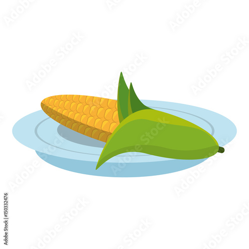 Fresh corn vegetable icon vector illustration graphic design