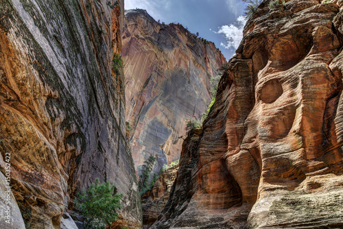 Canyon in Zion National Park