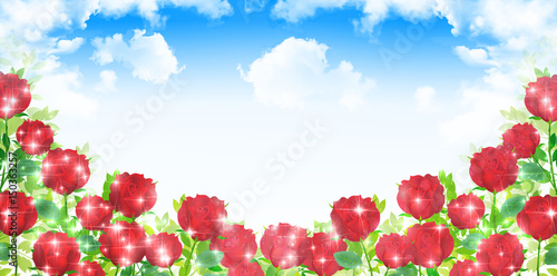 バラ　花　風景　背景
