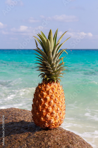 Pineapple on the background of the Andaman sea, the Pacific ocean. Thailand Similan Islands © dadoodas