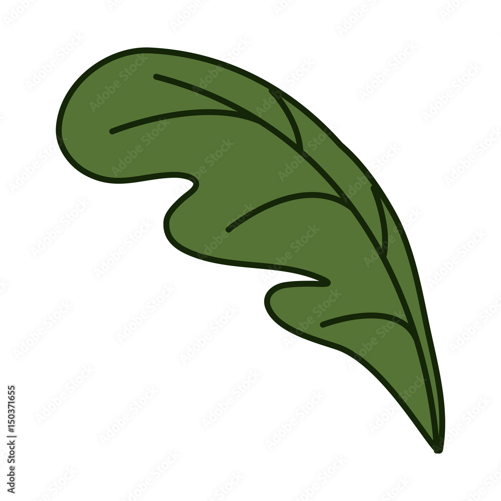 Obraz premium white background with leaf side view of beet with thick contour vector illustration