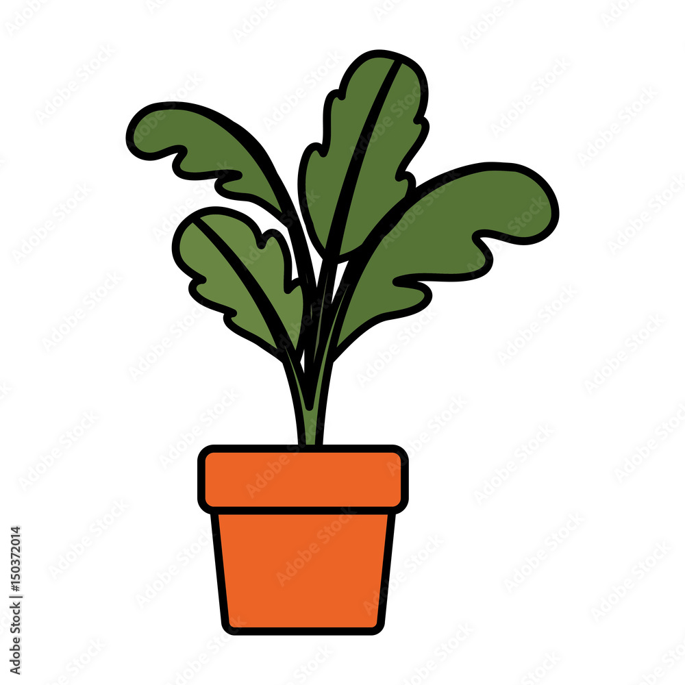 white background with beet plant in flower pot with thick contour vector illustration