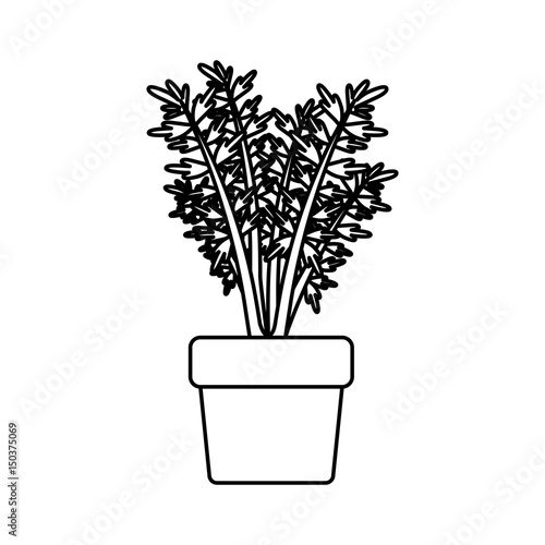 black silhouette of carrot plant in flower pot vector illustration