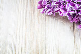 Fresh spring purple lilac in corner of wooden board with room for copy
