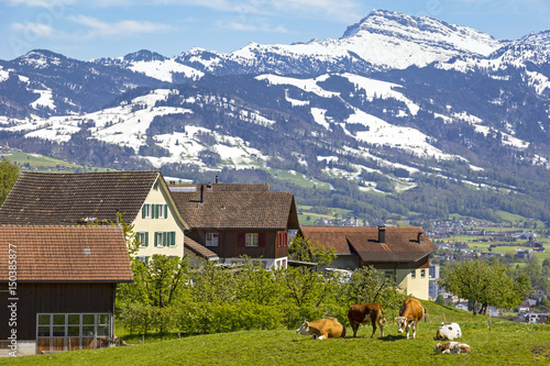 Village in the swiss alps with a little farm