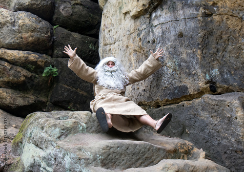 Canvas Print Cheerful hermit sitting at the rock