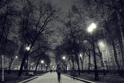 winter night in the park